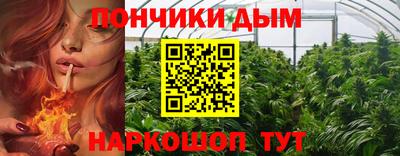 индика Северобайкальск