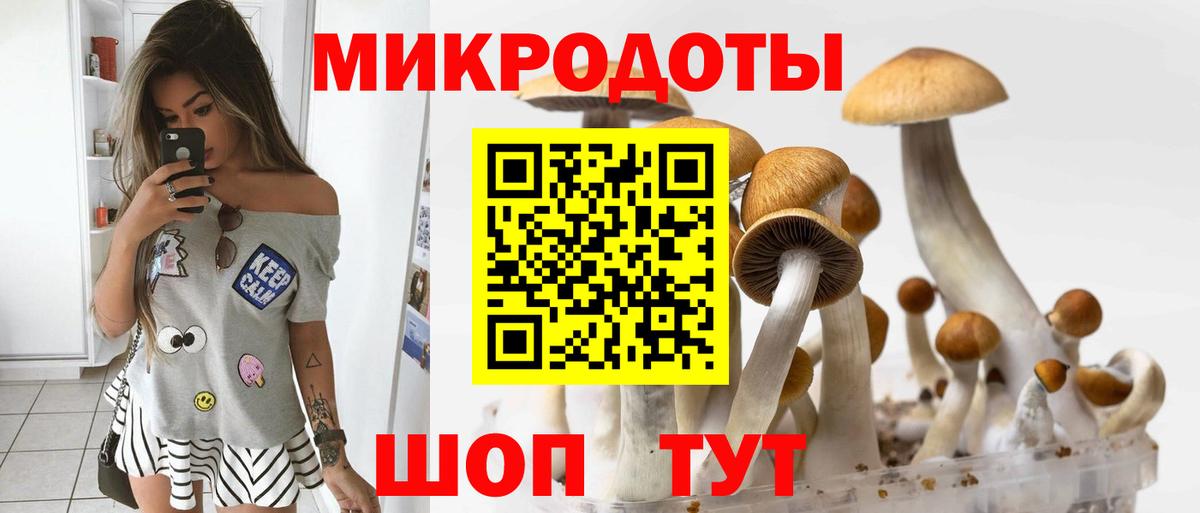 Псилоцибиновые грибы Psilocybine cubensis Электрогорск
